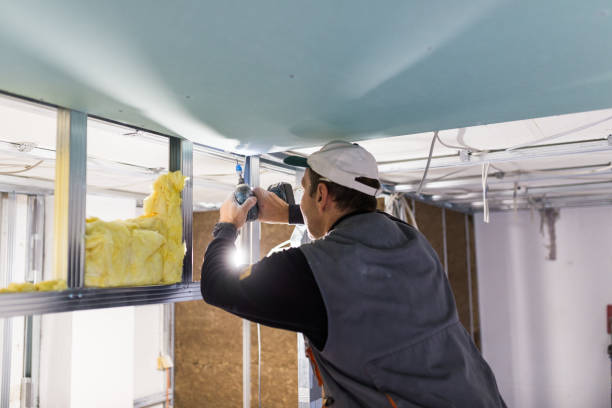 Eco-Friendly or Green Insulation Solutions in Sherrelwood, CO