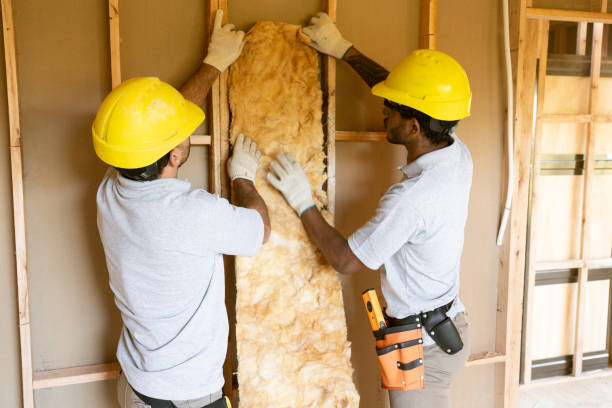 Best Eco-Friendly or Green Insulation Solutions  in Sherrelwood, CO